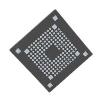 NOIX5SN5000B-LTI1 Image Sensors